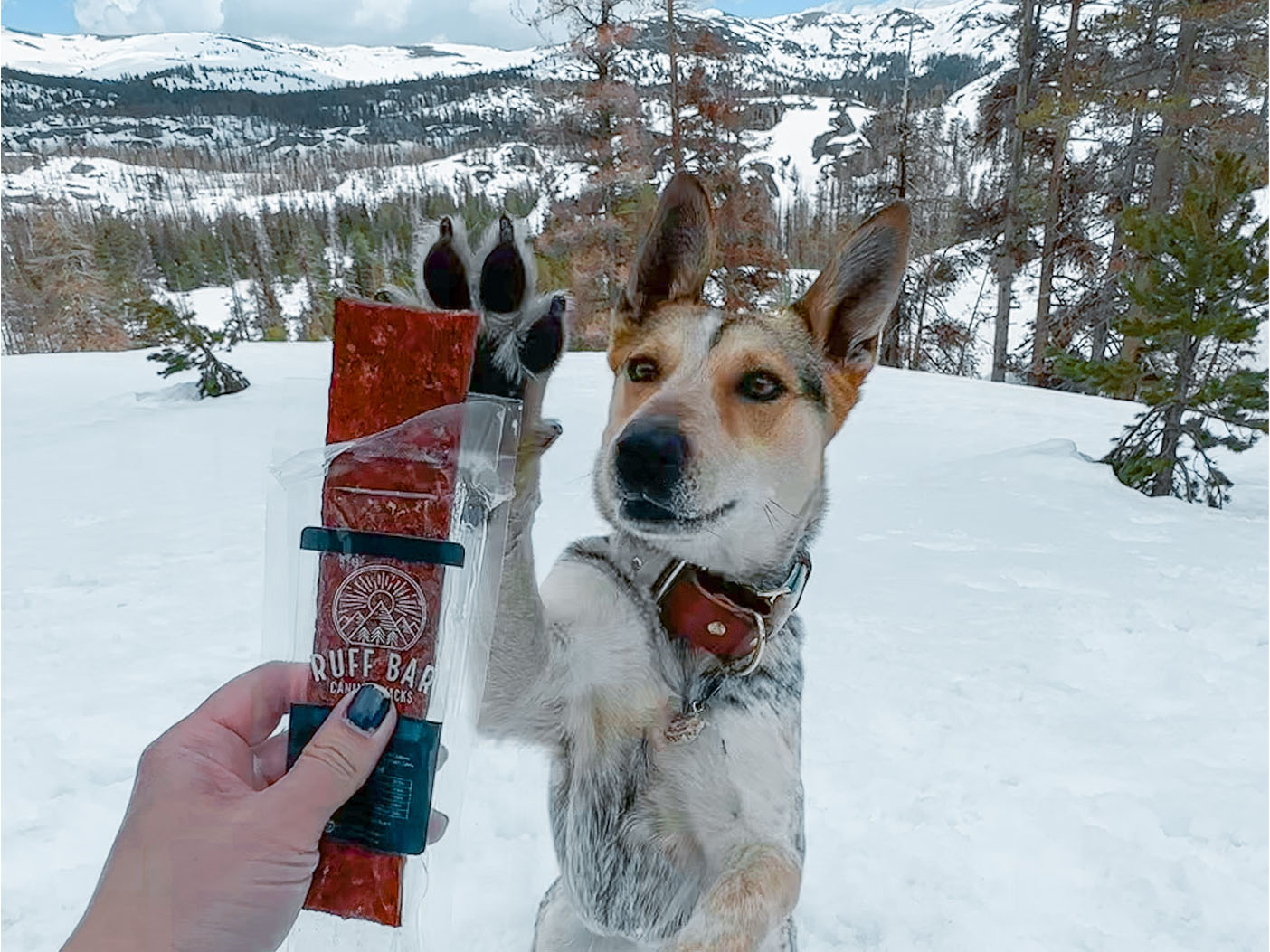 Beef Ruff Bar Healthy Energy Power Bar Snack Treat for Dogs