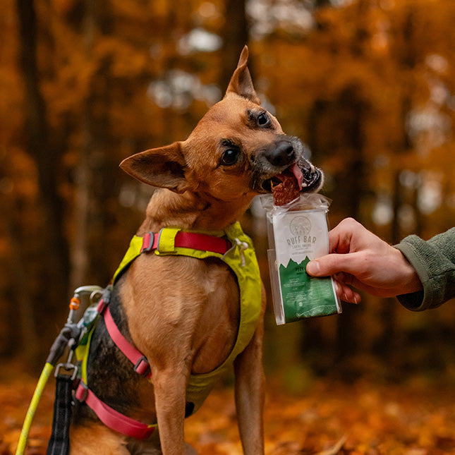 Pork Ruff Bar meat snack for hiking active healthy dogs